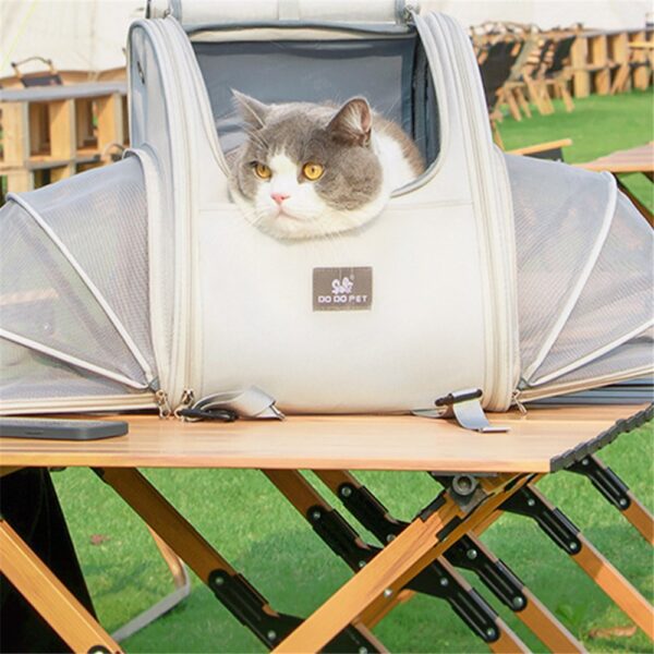 Sac à dos beige avec chat gris regardant par l'ouverture supérieure, posé sur une table en bois en plein air