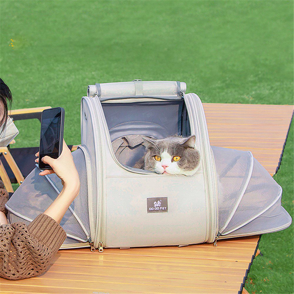 Sac à dos clair déplié sur une table, chat gris et blanc regardant l'ouverture, main tenant un téléphone à gauche