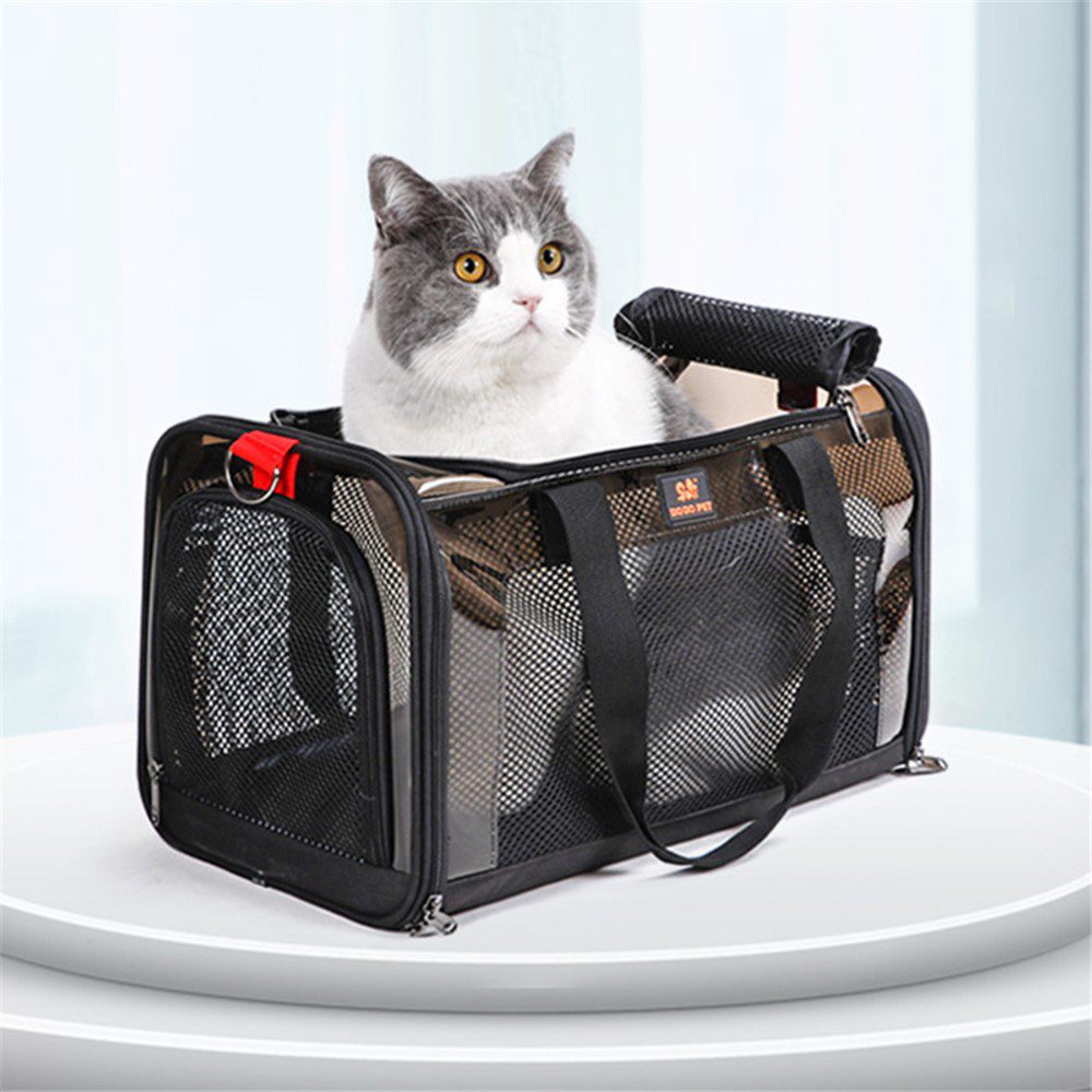 Chat gris et blanc assis sur le dessus d'un sac de transport noir en filet, posé sur un socle blanc