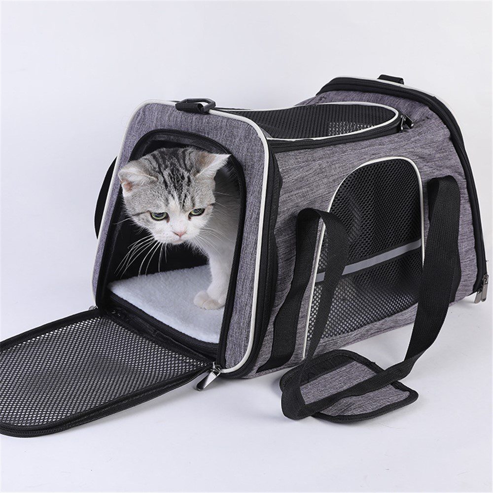 Chat gris et blanc passant la tête hors du sac gris ouvert, volet mesh rabattu au sol et anse noire visible