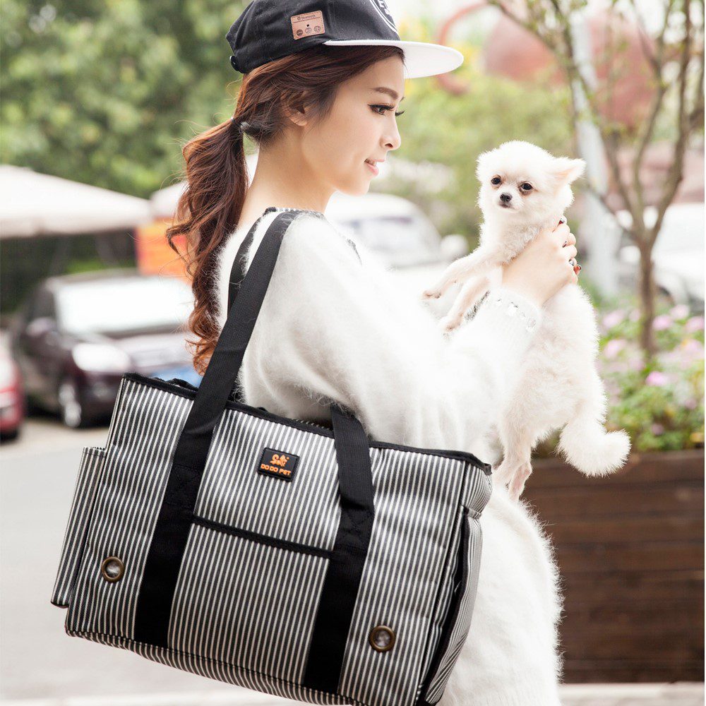 Jeune femme en pull blanc et casquette tenant un petit chien blanc, sac de transport rayé à anses noires pendant à son bras