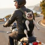 Sac à dos ventral DOGLEMI en moto