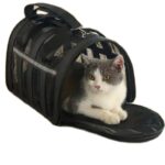 Sac Transport Chat Chien Pliable Oxford 600D - Taille M Respirant Gris