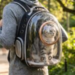 Sac à Dos Transport Chat Transparent avec 9 Aérations – Oxford en noir