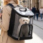 Sac à Dos Transparent Chat Chien PVC Mesh
