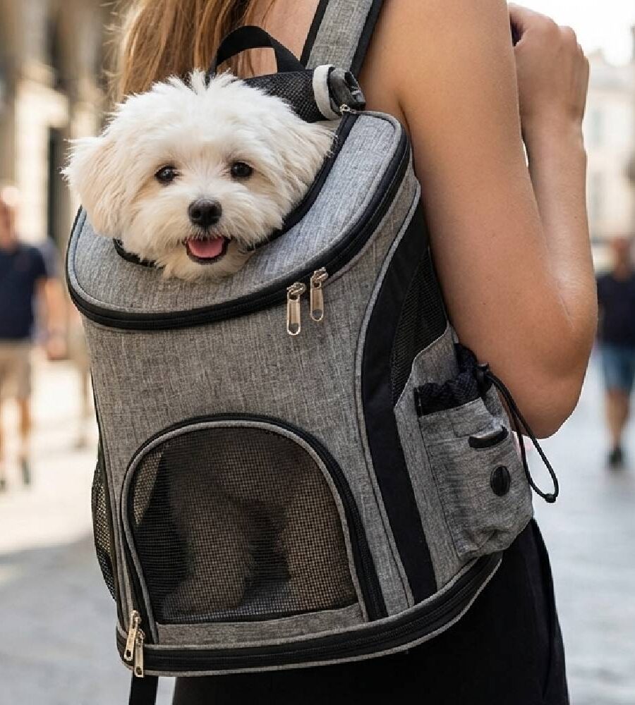 Sac à dos transport chat chien respirant maille - Bleu QS-003-M