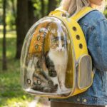 Accueil cages-chien.fr Transport pour chien