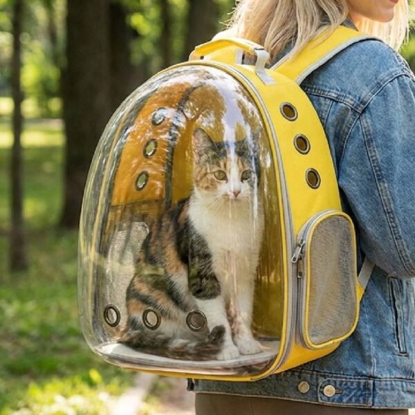 gros plan Sac à Dos Transport Chat Oxford Jaune avec jeune fille blonde dans un parc public
