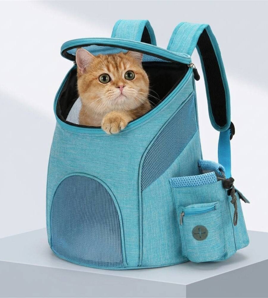 Sac à Dos Transport Chat Chien Transparent - Taille L Bleu Pliable