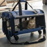 Sac de Transport à Roulettes pour Chien Chat LDLC QS-019 50x30x33cm
