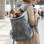Sac à dos transport chien chat - Confort et praticité 27x27x43cm
