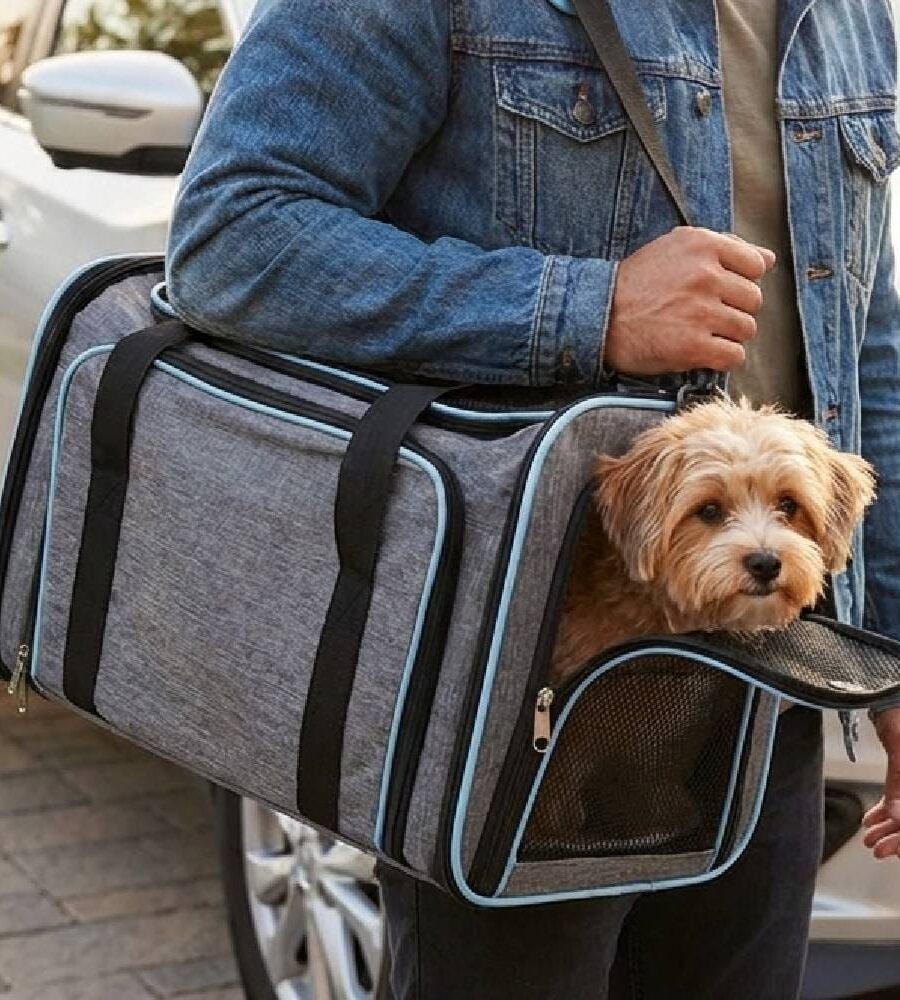 Sac Transport Chat Chien Extensible Bandoulière