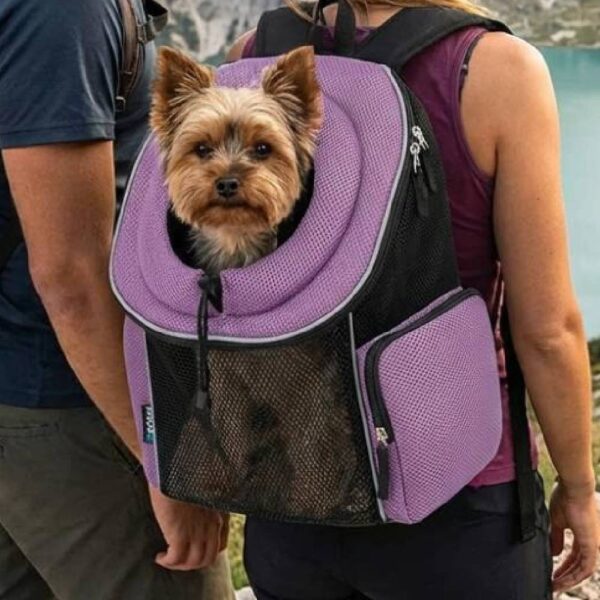 aaNouveau projet Sac à dos transport chien chat hublot ventilé violet face avant sac à dos transport