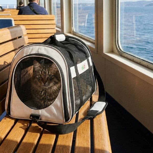 Sac Transport Chien Chat FUNADD - Bandoulière Respirant Gris sac transport