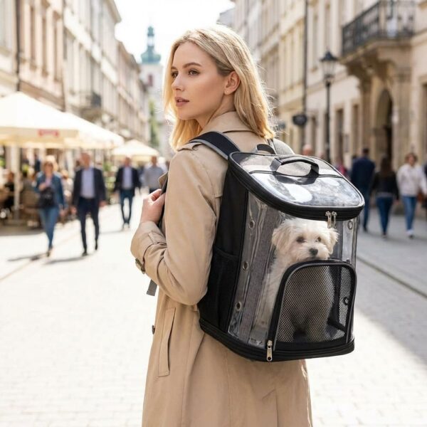 Sac à Dos Transparent Chat Chien PVC