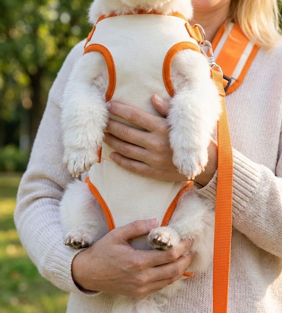 Sac Transport Chien blanc et bord orange vue ventre du chien