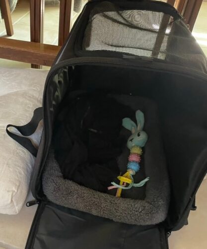 Sac De Transport Pour Chien Avion - Homologué Cabine photo review
