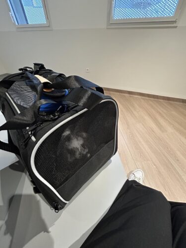 Sac De Transport Pour Chien Avion - Homologué Cabine photo review