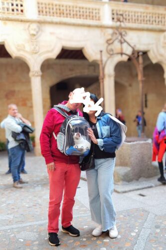 Sac à Dos Transport Chat Oxford Transparent - 9 Trous Aération Jaune photo review