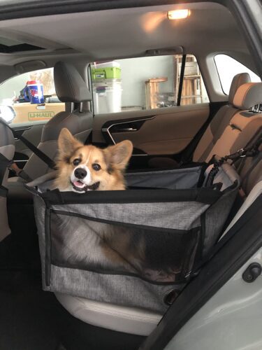 Siège transport chien voiture XXL 30 kg — grand chien photo review