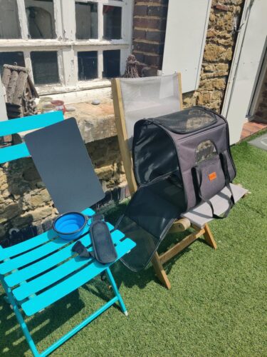 Sac De Transport Pour Chien Avion - Homologué Cabine photo review