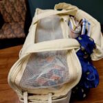 Sac De Transport Pour Chien Yorkshire photo review
