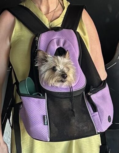 Click to view full screen Sac à dos transport chien chat hublot ventilé violet face avant photo review