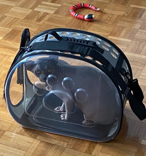 Sac Transport Chat Transparent Rose - Bandoulière Respirant L 42cm photo review