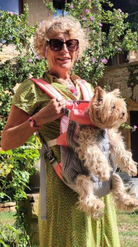 Sac à dos ventral DOGLEMI - Transport chien mains libres moto photo review