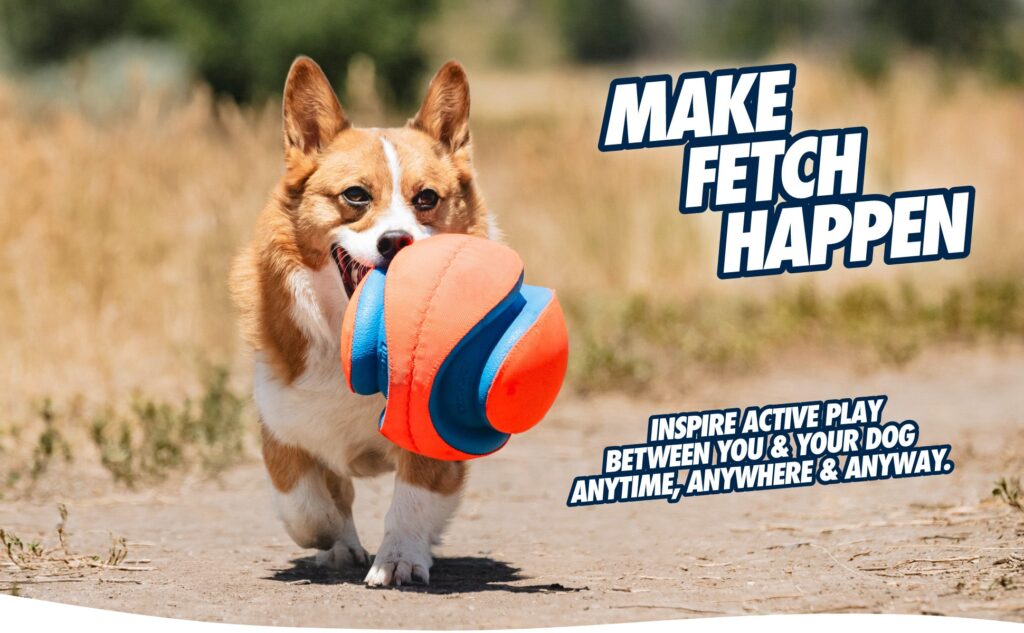 Balle Chuckit! Giggle Kick Fetch – photo 4