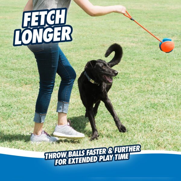 Balle Chuckit! Rope Fetch – photo 6