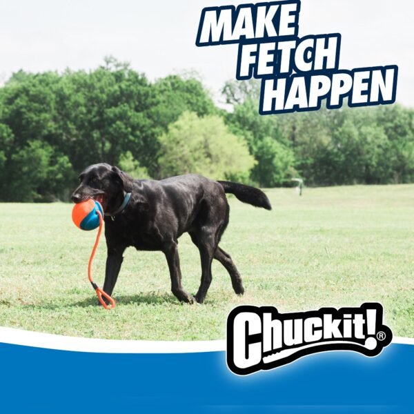 Balle Chuckit! Rope Fetch – photo 7