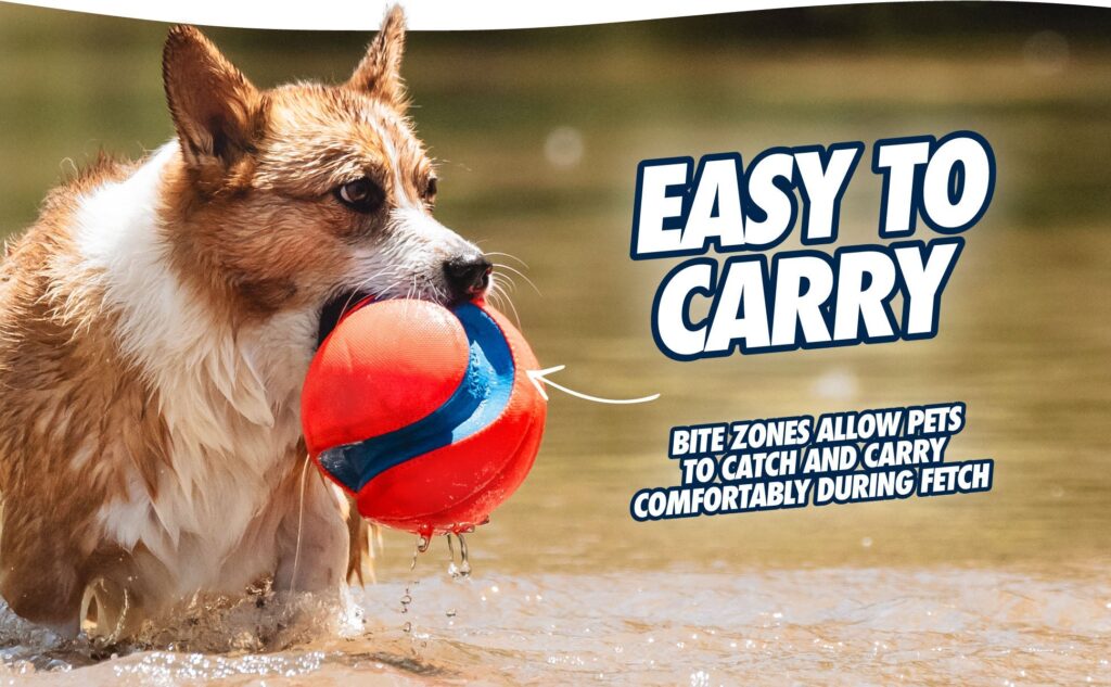 Balle de foot Chuckit! Kick Fetch – photo 4