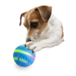 AFP Motion Activated Action Ball – photo 4