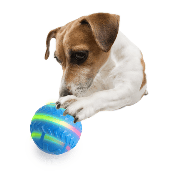 AFP Motion Activated Action Ball – photo 4
