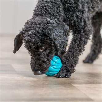 Balle spirale chien caoutchouc – photo 6