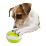 Boutons parlants AFP Interactives Dog Interpreter – photo 2