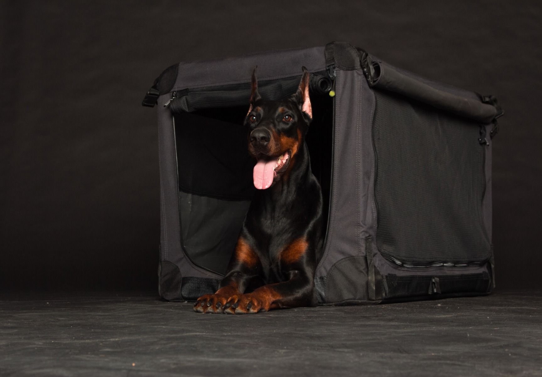 Cage de transport nylon chien – photo 2