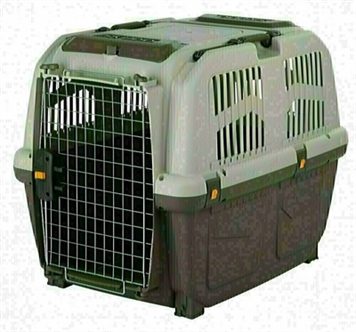 Caisse de transport voiture pour chien – photo 2