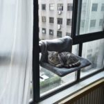 Chat gris installé dans le hamac radiateur pour chat en sherpa fleece, fixé à la fenêtre