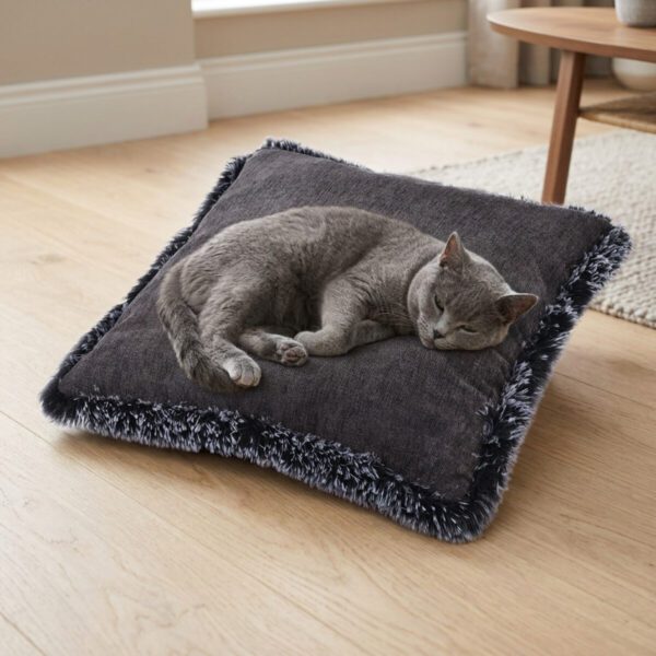 Chat gris allongé sur le coussin carré anthracite à bord en peluche
