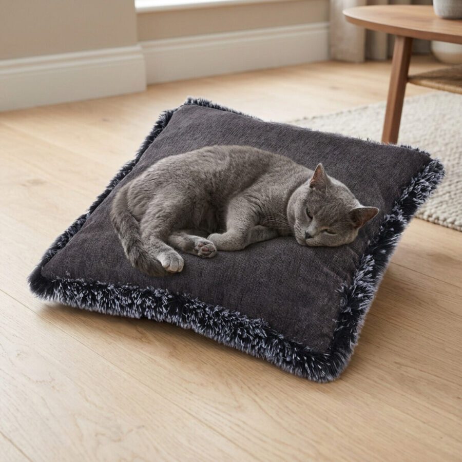 Chat gris allongé sur le coussin carré anthracite à bord en peluche