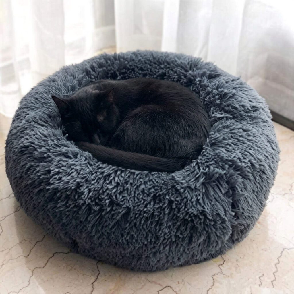 Chat noir endormi dans le lit rond donut en peluche grise
