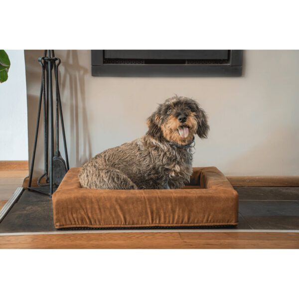 Coussin chien avec rebord – photo 2