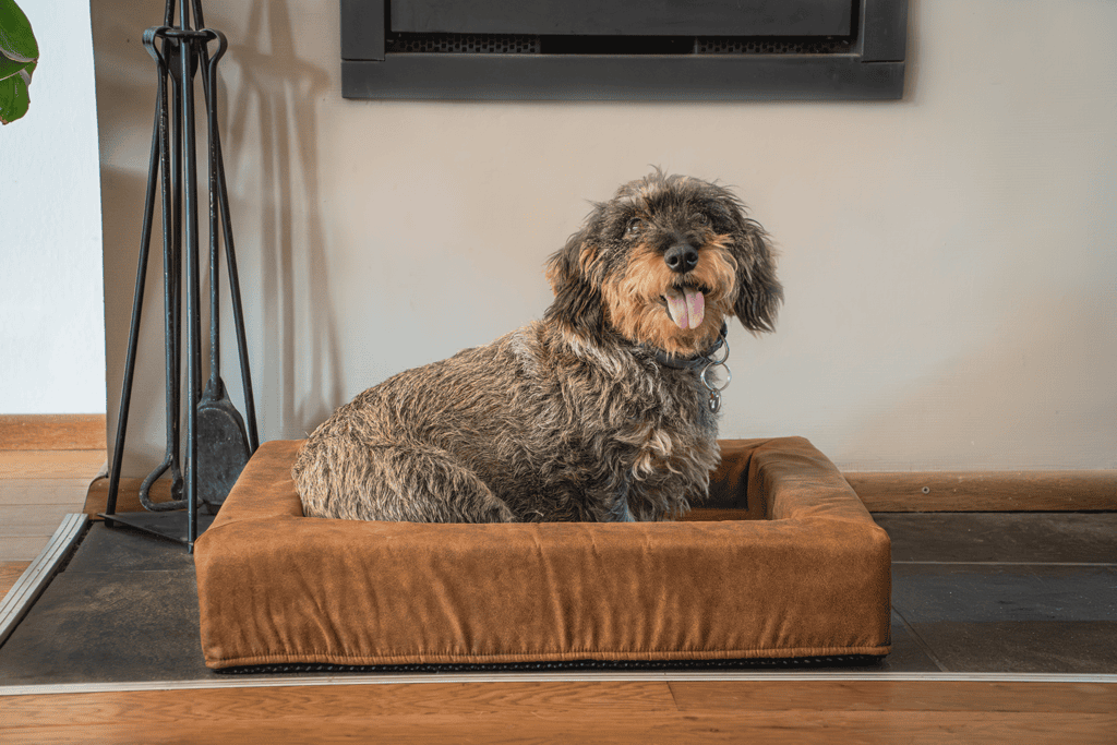 Coussin chien avec rebord – photo 2
