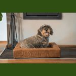 Coussin chien avec rebord – photo 5