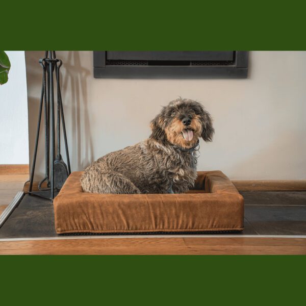 Coussin chien avec rebord – photo 5