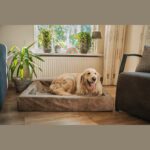 Coussin chien avec rebord – photo 6