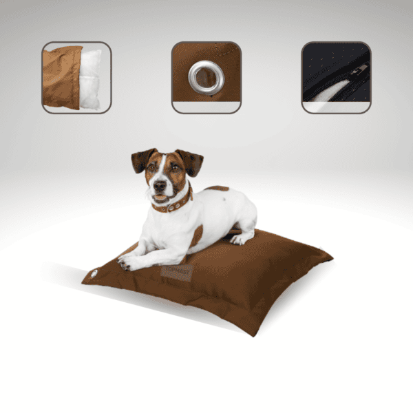 Coussin chien déperlant – photo 1