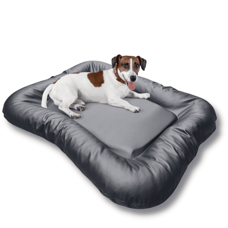 Coussin chien extérieur – photo 2